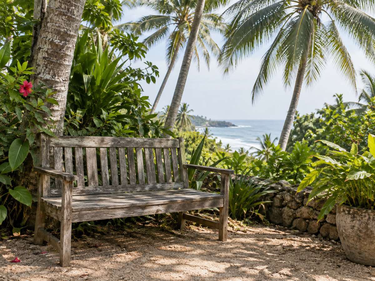 Empty wooden bench under palms, surf light in the distance, no people